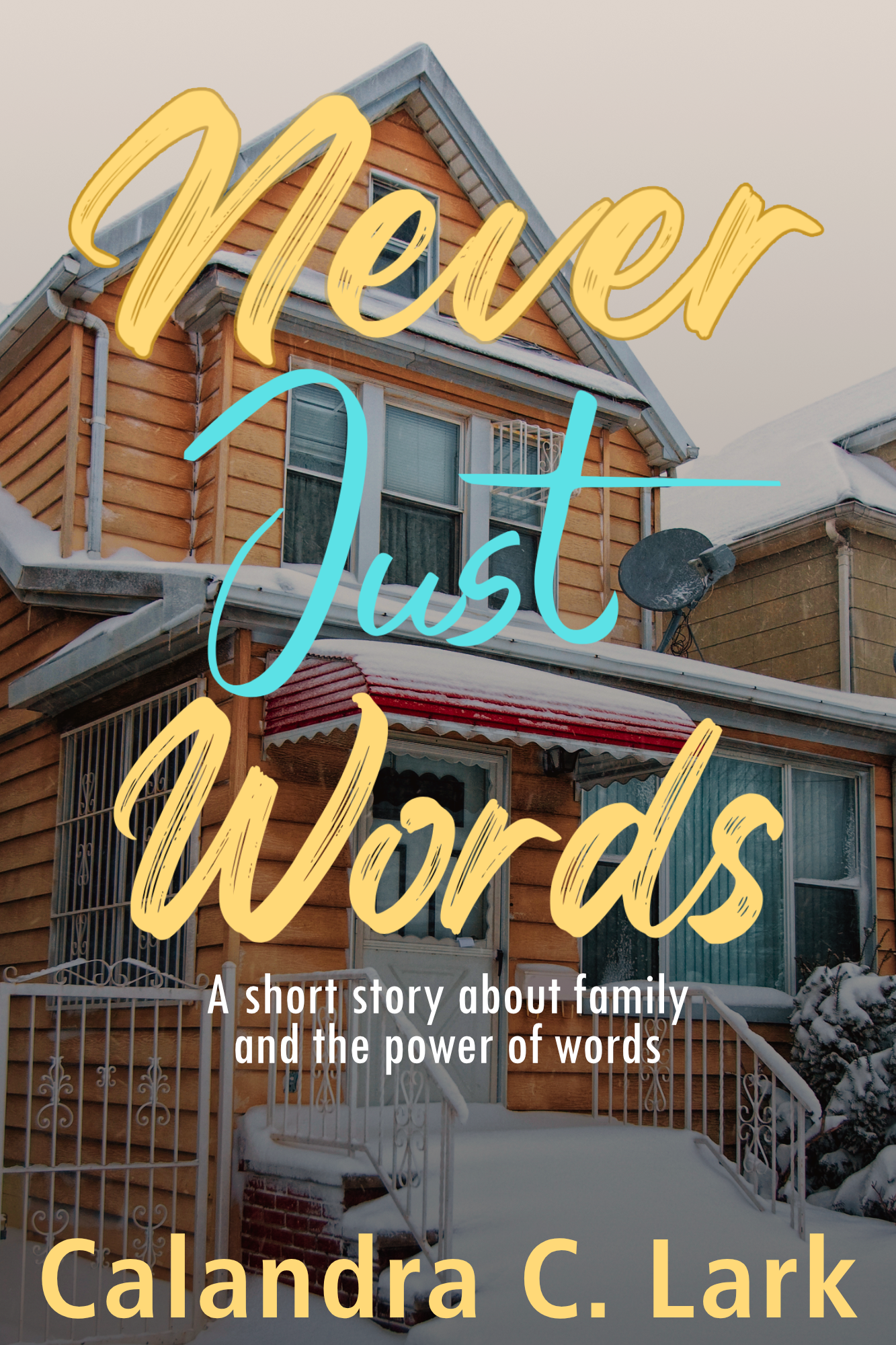 Never Just Words book cover